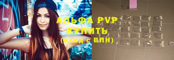 стафф Осинники
