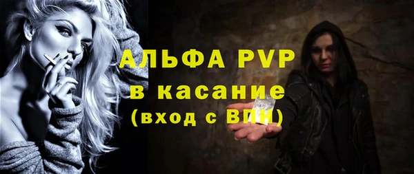 стафф Осинники