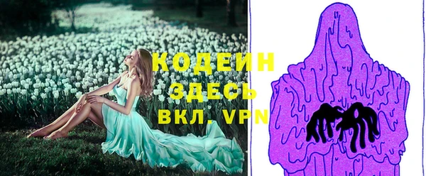 ешки Няндома