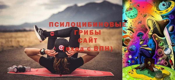 ешки Няндома
