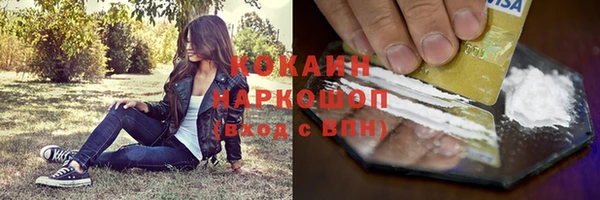 стафф Осинники