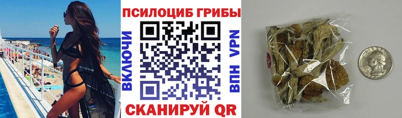 Галлюциногенные грибы мицелий  Краснозаводск 